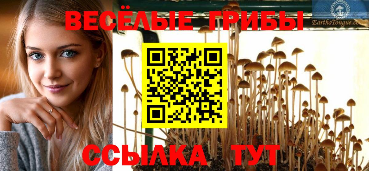 Псилоцибиновые грибы GOLDEN TEACHER  Вход с VPN  Тюмень  Псилоцибиновые грибы Psilocybe 